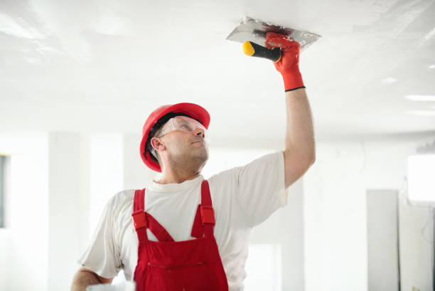 Best Ceiling Drywall Installation  in Island City, OR